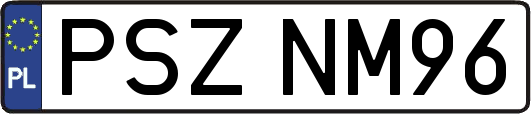 PSZNM96