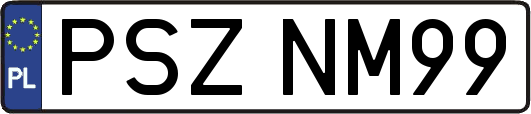 PSZNM99