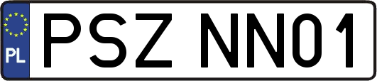 PSZNN01