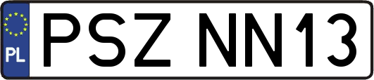 PSZNN13