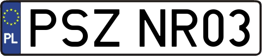 PSZNR03