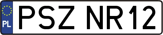 PSZNR12