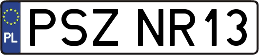 PSZNR13