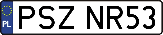PSZNR53