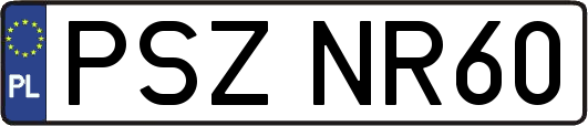 PSZNR60