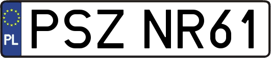 PSZNR61