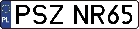 PSZNR65