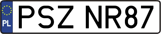 PSZNR87