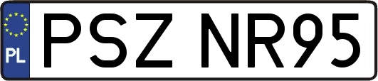 PSZNR95
