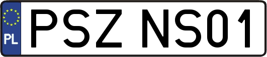 PSZNS01