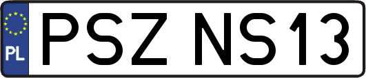 PSZNS13