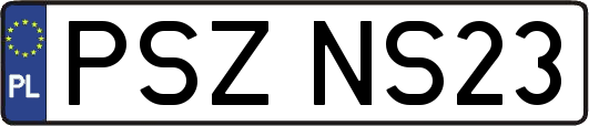 PSZNS23