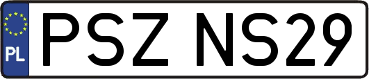 PSZNS29