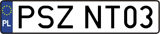 PSZNT03
