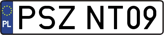 PSZNT09