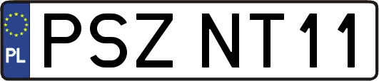 PSZNT11