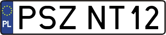 PSZNT12