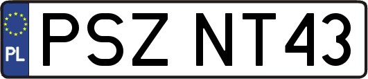 PSZNT43