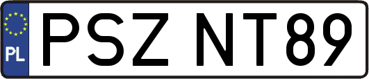 PSZNT89
