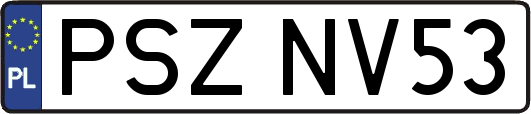 PSZNV53