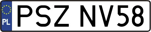 PSZNV58