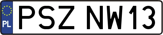 PSZNW13