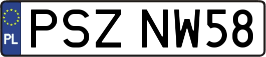 PSZNW58