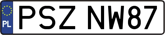PSZNW87