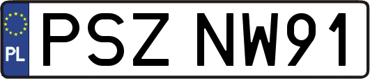PSZNW91