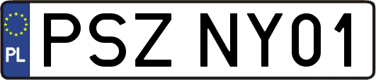 PSZNY01