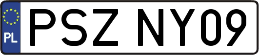 PSZNY09