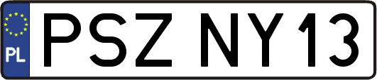 PSZNY13