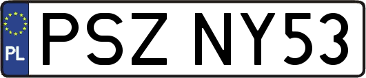 PSZNY53