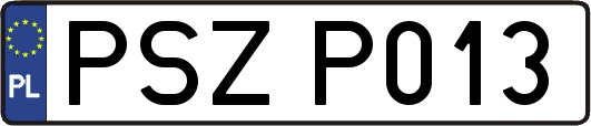 PSZP013
