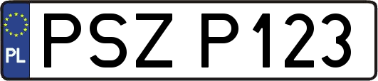 PSZP123