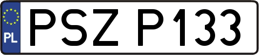 PSZP133