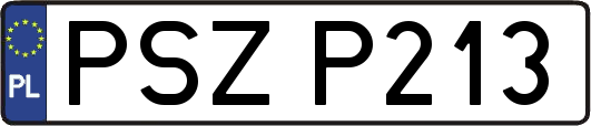 PSZP213