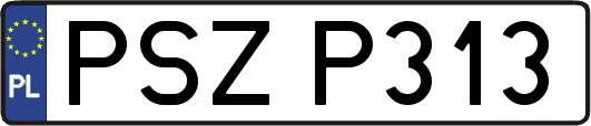 PSZP313