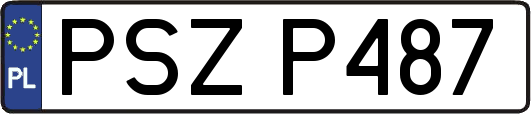 PSZP487