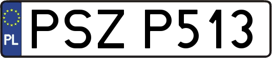 PSZP513