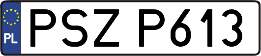 PSZP613