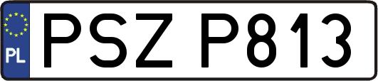 PSZP813
