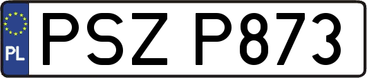 PSZP873