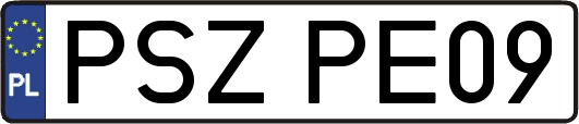 PSZPE09
