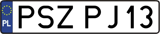 PSZPJ13