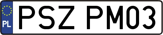 PSZPM03