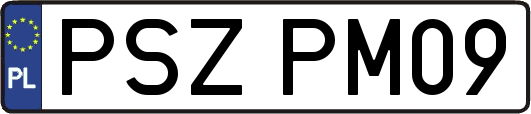 PSZPM09