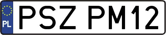 PSZPM12
