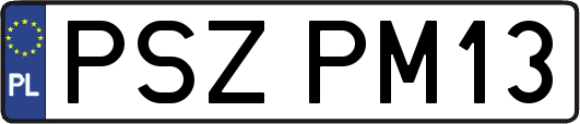 PSZPM13