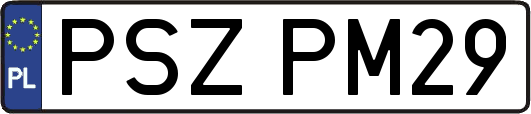 PSZPM29